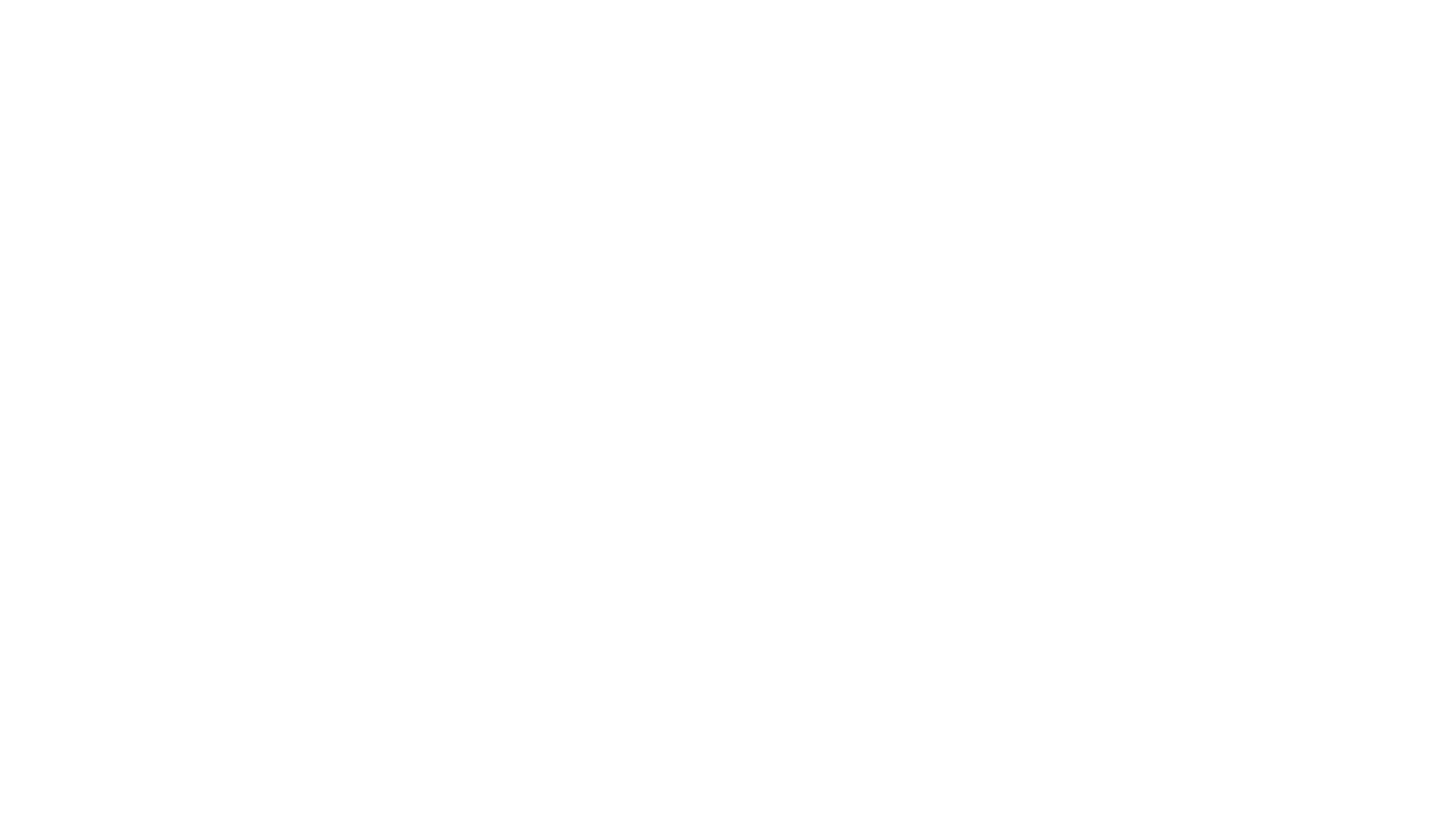 Alliance Mount — Bridging Visions